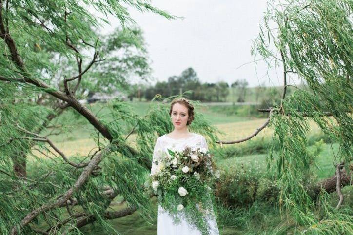 Bouquet of white flowers