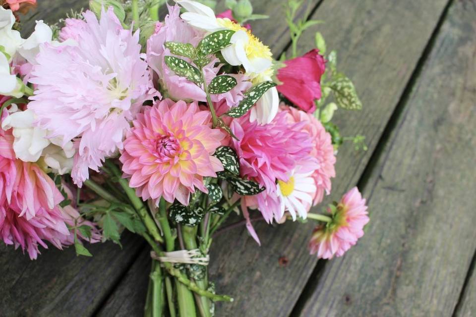 Pink flowers