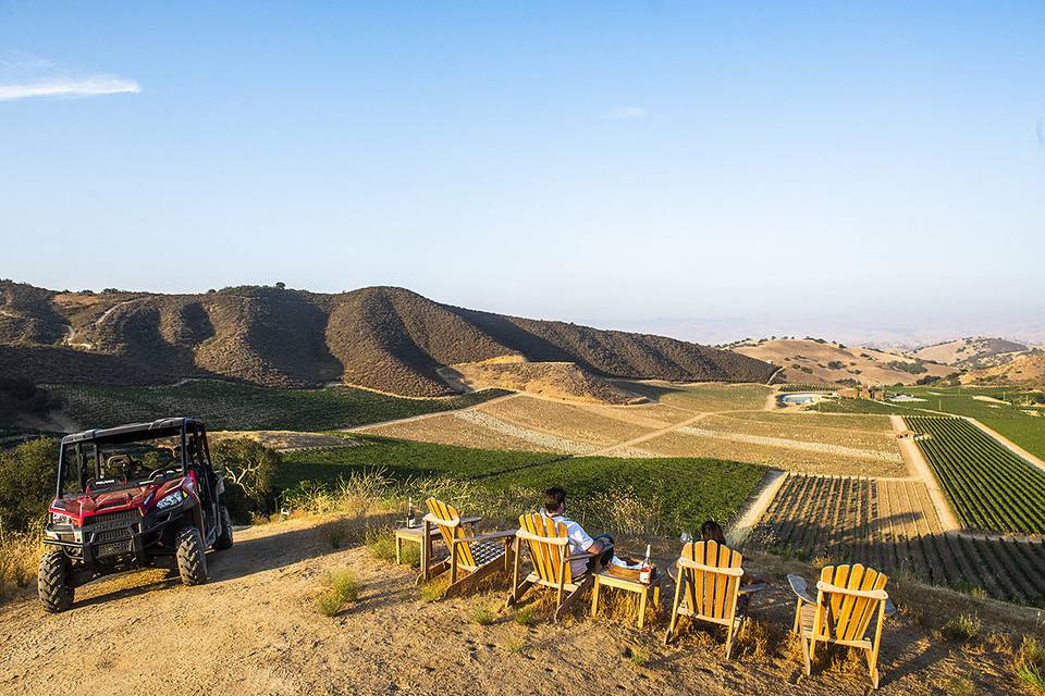 Vineyard viewpoint