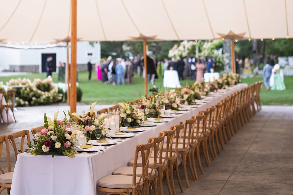 T&J Reception