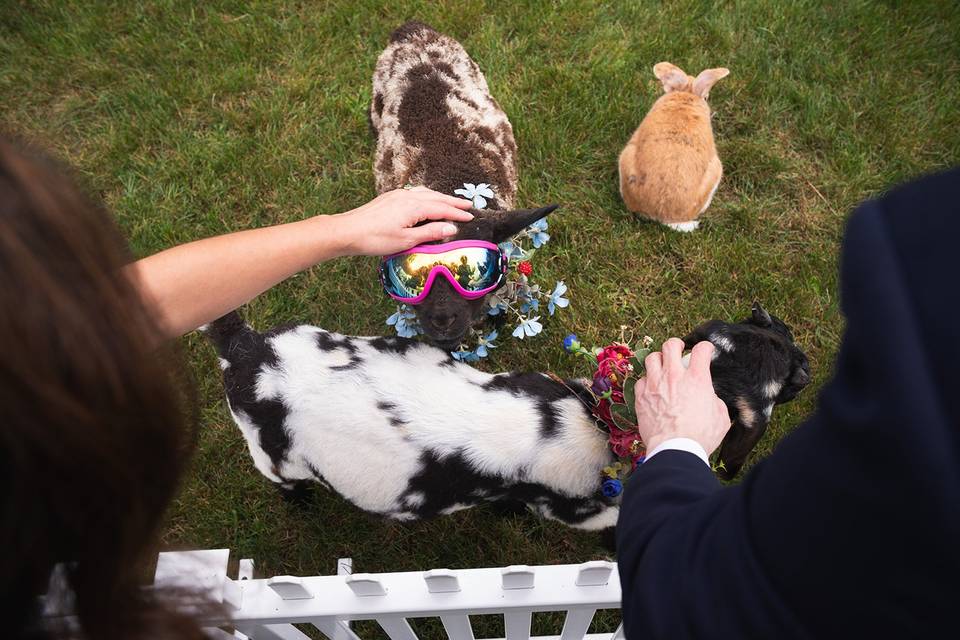 Farm Wedding