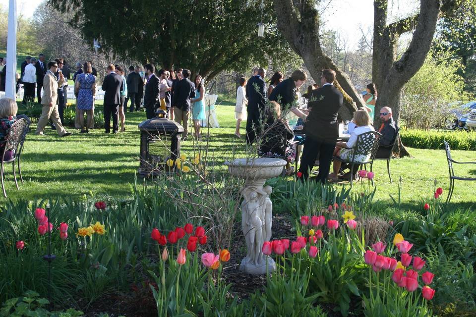 Wedding guests