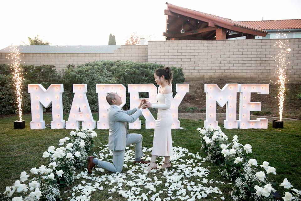 Surprise proposal