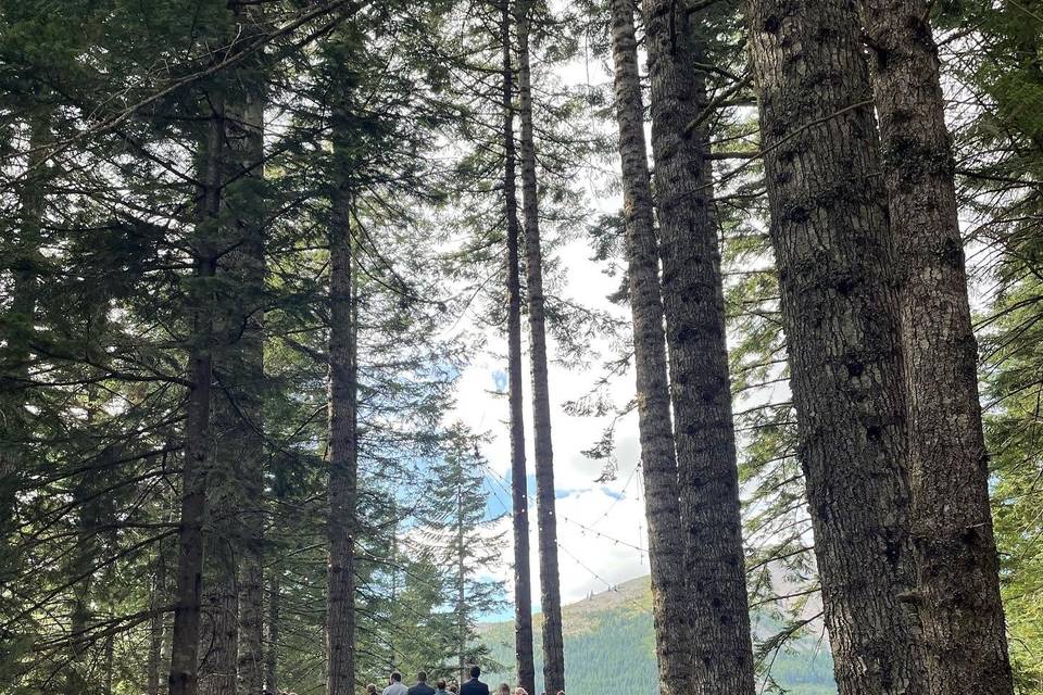 Amazing Noble Ridge Tree Deck