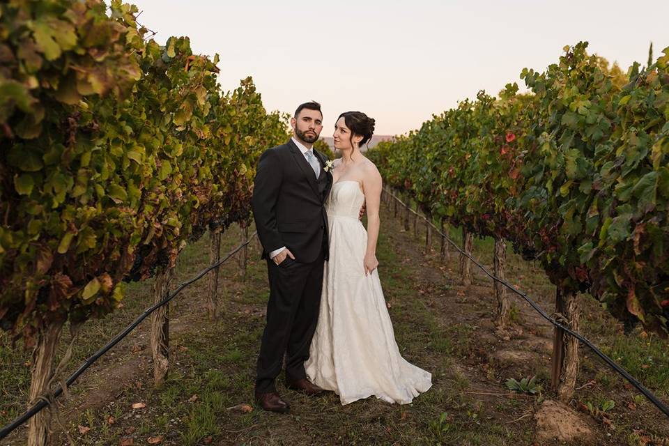 Bay Area Wedding