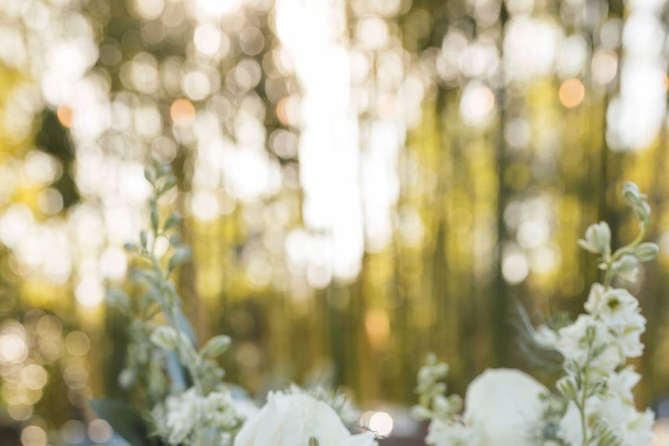 Saratoga Wedding