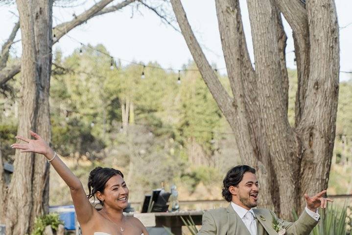 Bay Area Wedding