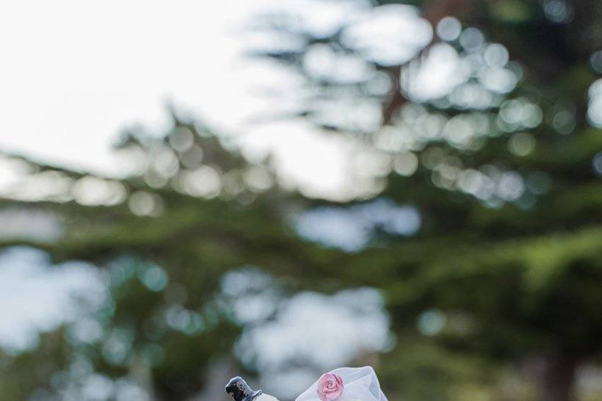 Bay Area Wedding
