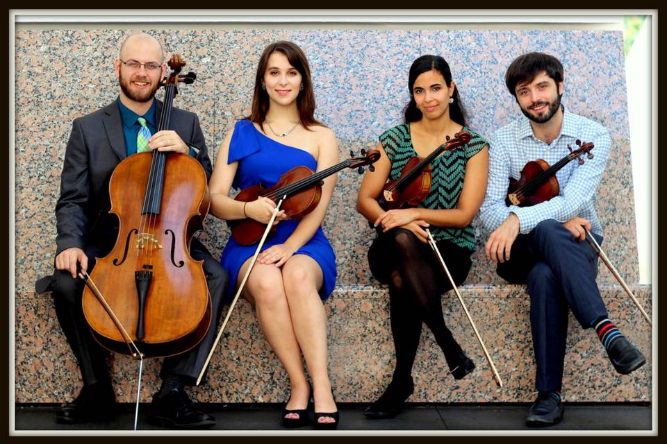 River Oaks String Quartet