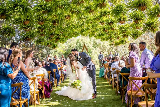 Celebrating Mr. & Mrs.