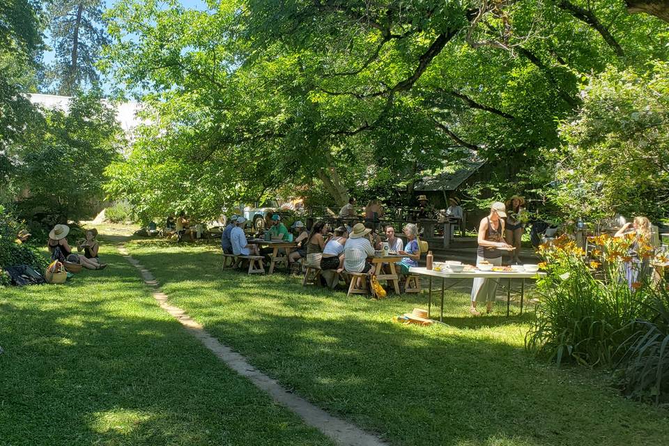 Informal outdoor gathering