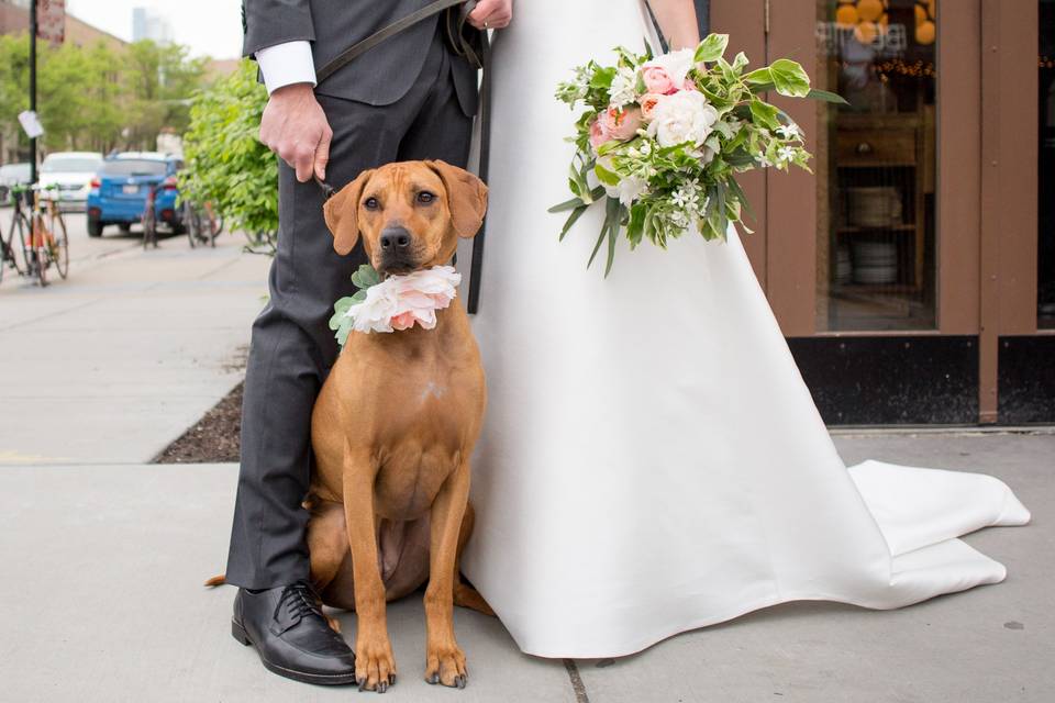 Furry ring bearer