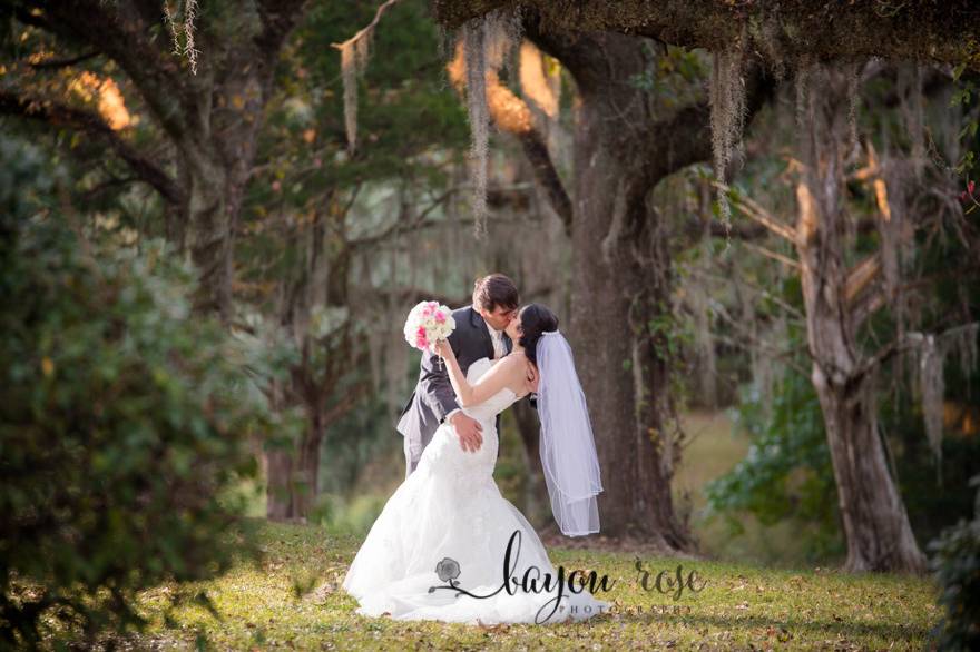 Bayou Rose Photography