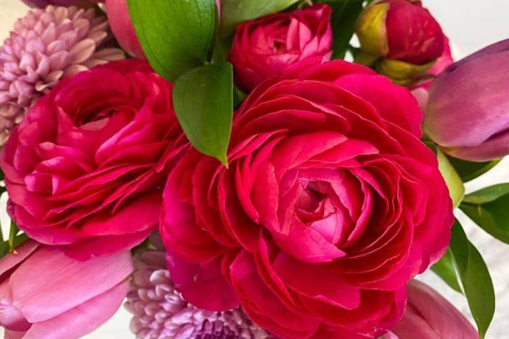 Romantic roses