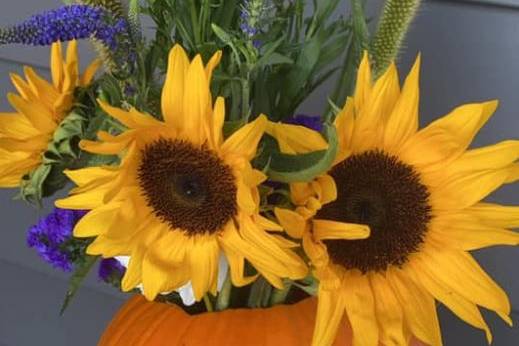 Sunflowers