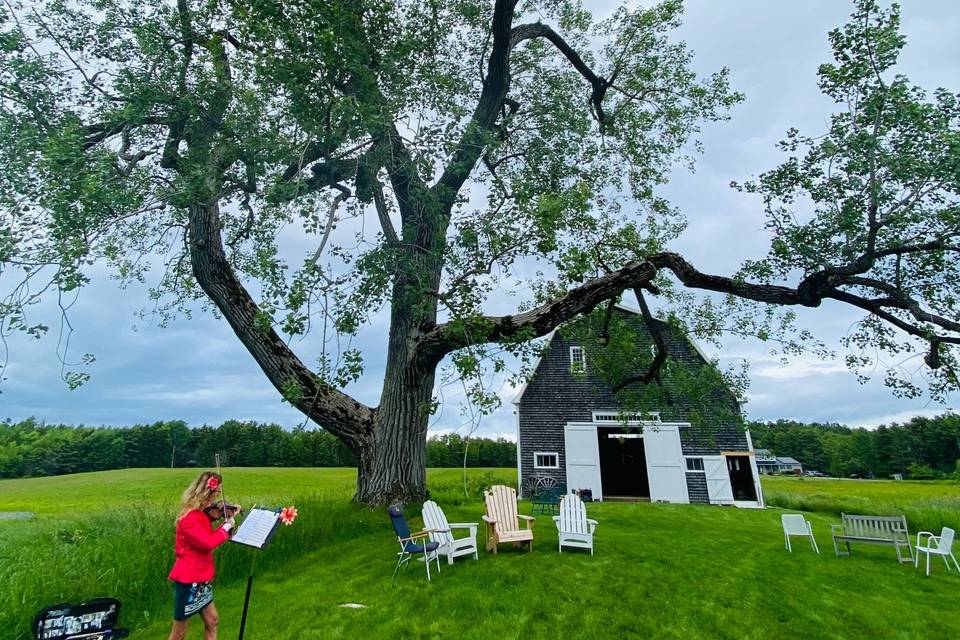 Farm wedding