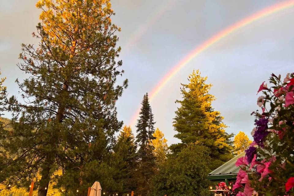 View from the back patio