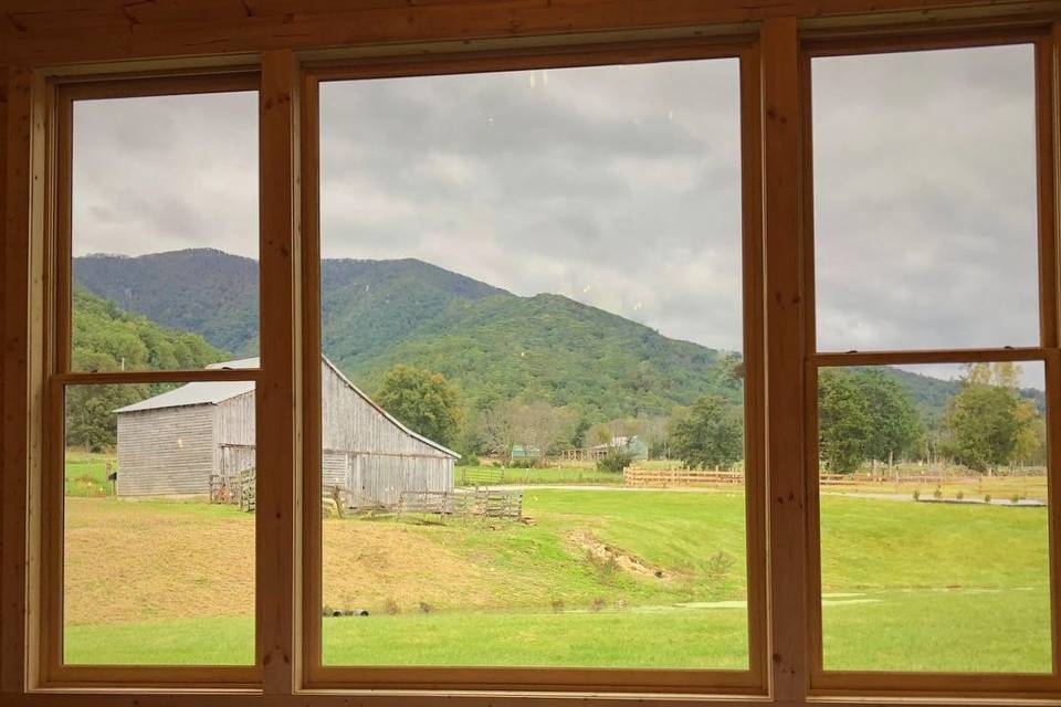 Window view