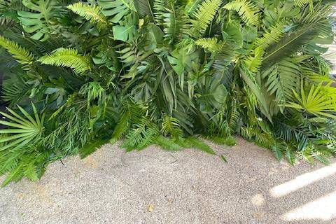 Tropical greenery wall