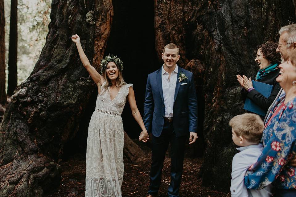 Henry Cowell Elopement