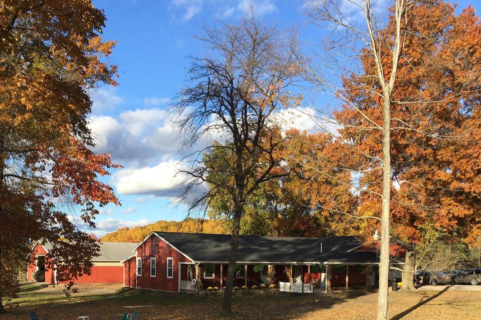 Grounds at fall