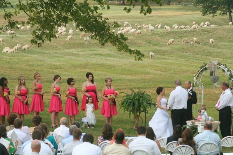 Sweet Seasons Farm Event Barn