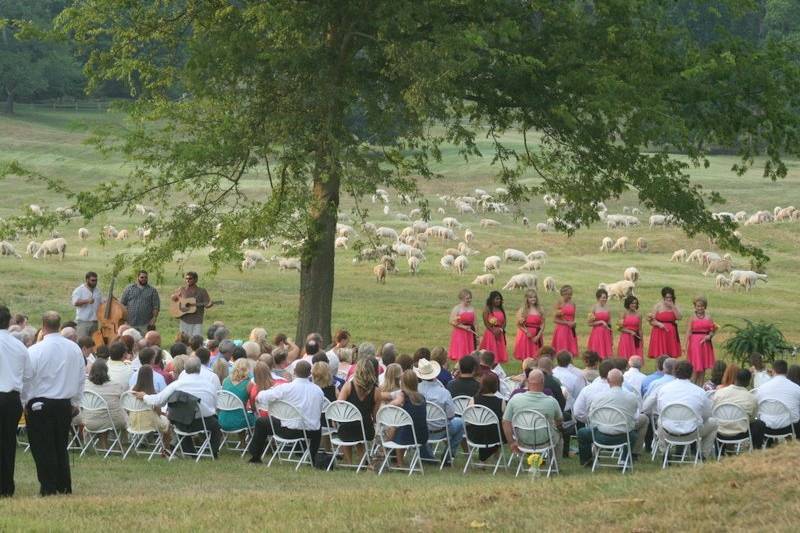 Sweet Seasons Farm Event Barn