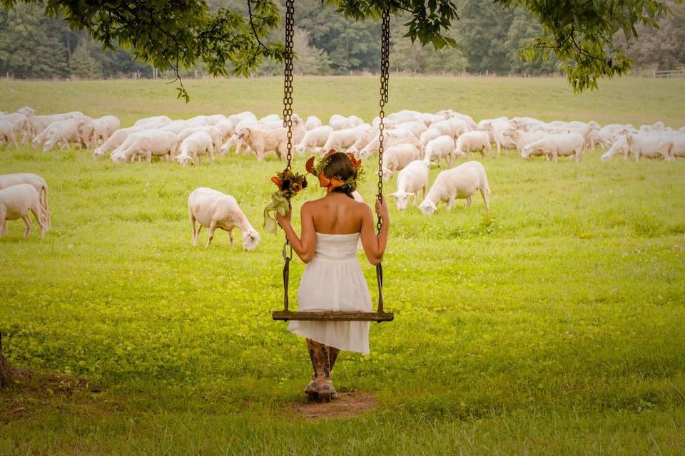 Sweet Seasons Farm Event Barn