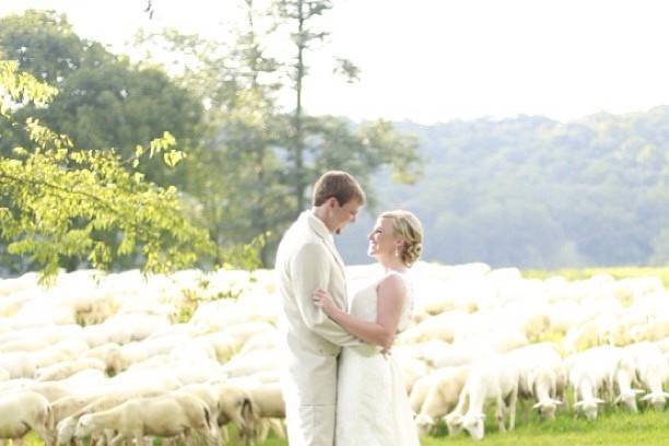 Sweet Seasons Farm Event Barn