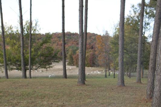 Sweet Seasons Farm Event Barn