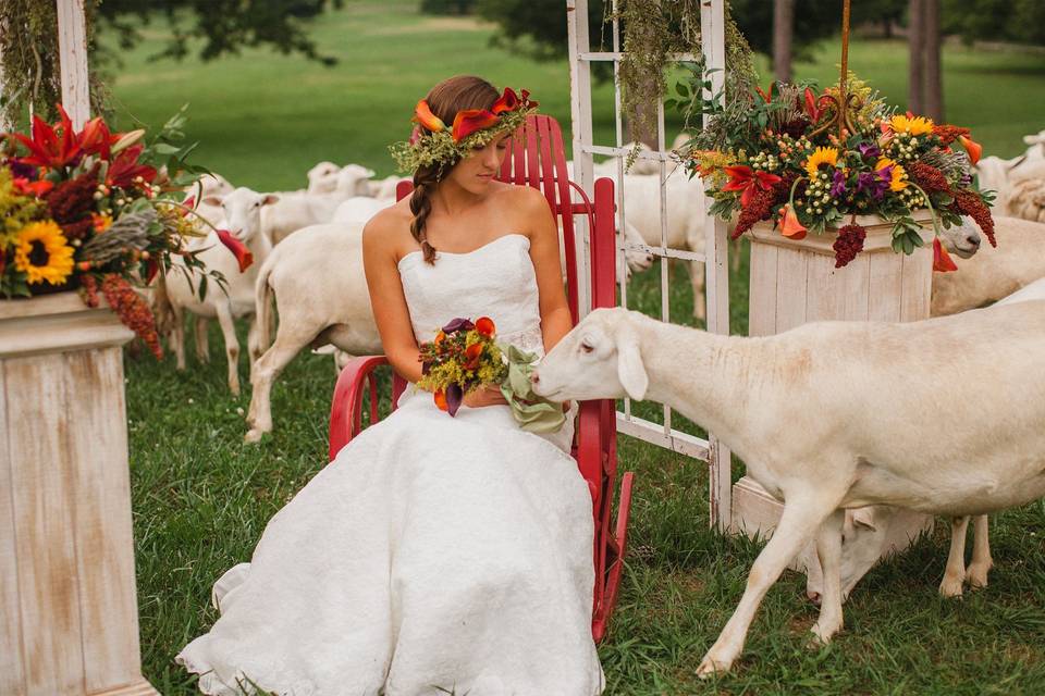 Sweet Seasons Farm Event Barn