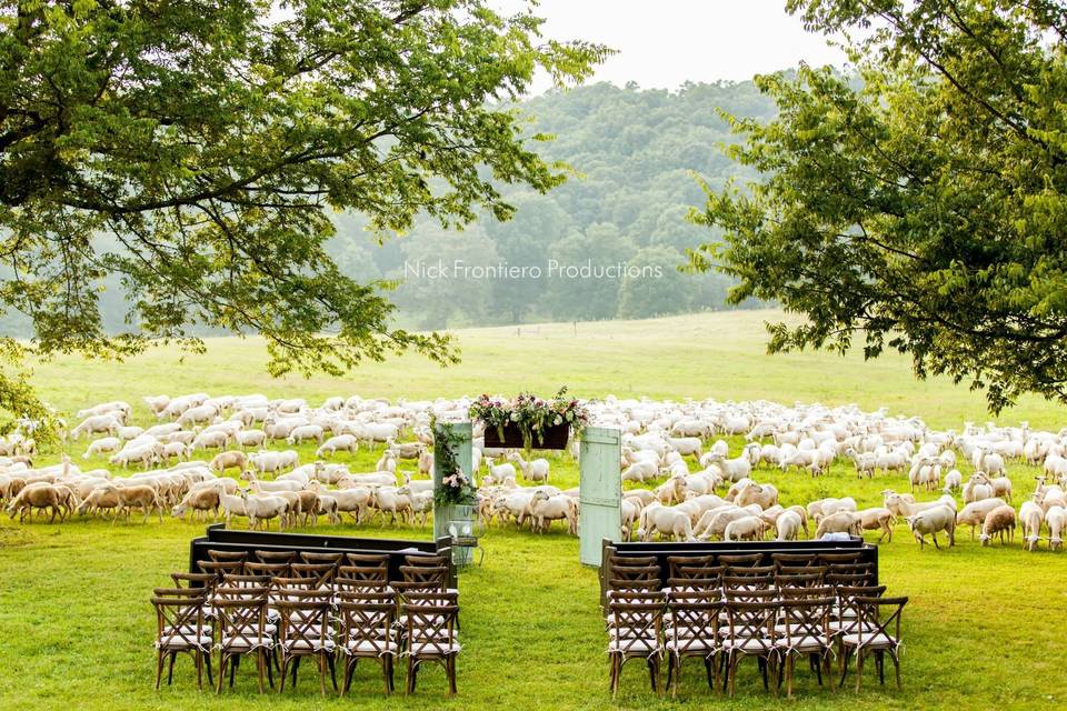 Sweet Seasons Farm Event Barn