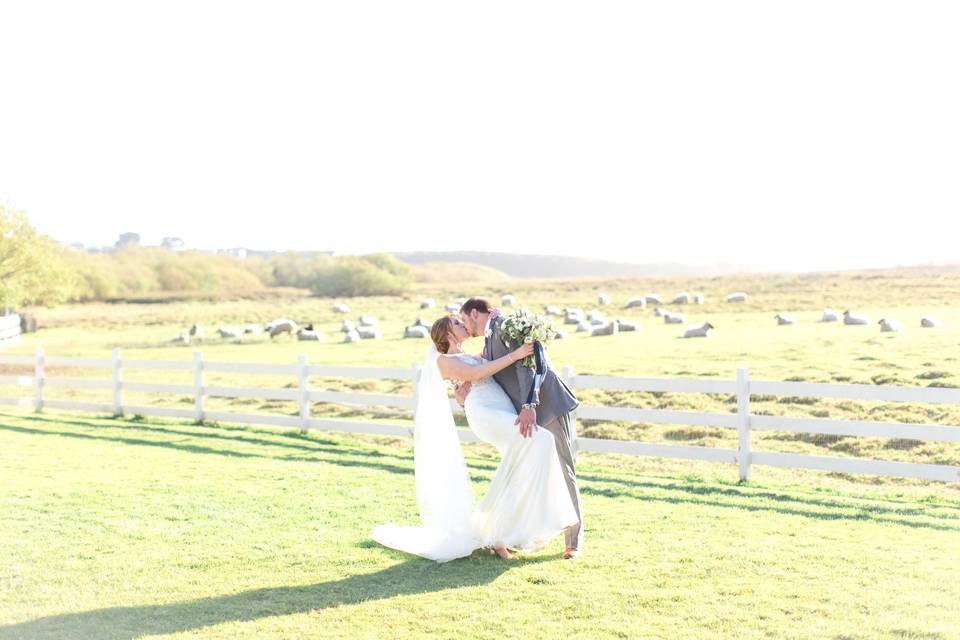 Mission Ranch Wedding