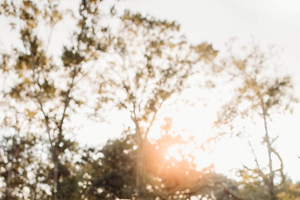 Photo by Tallpinestxphoto