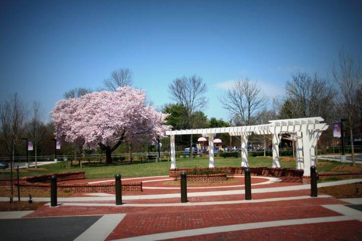 Outdoor wedding space