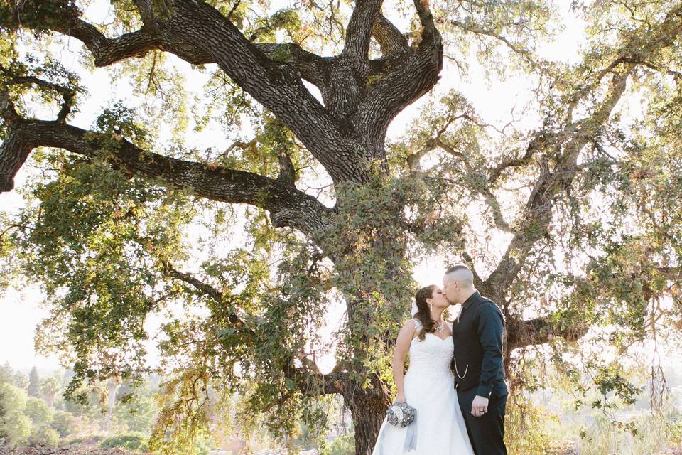 Wedding couple near Oak tree