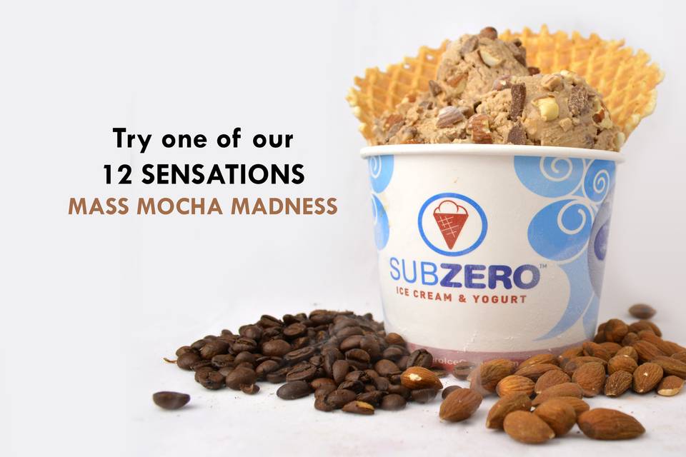 Sub Zero Nitrogen Ice Cream 4