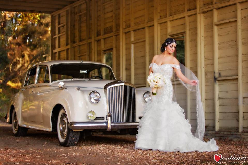 Bride Portrait