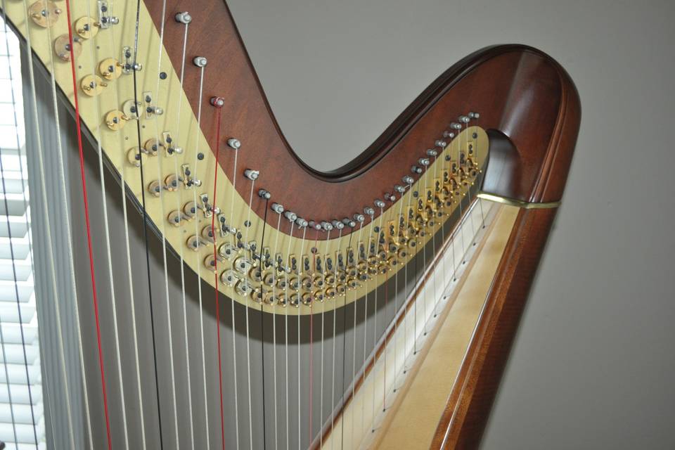 Concert harps have 47 strings & 7 pedals and are able to play any key, style or range of music.  It can serve as a solo instrument or as a part of an ensemble.