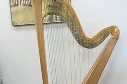 Concert harps have 47 strings & 7 pedals and are able to play any key, style or range of music.  It can serve as a solo instrument or as a part of an ensemble.