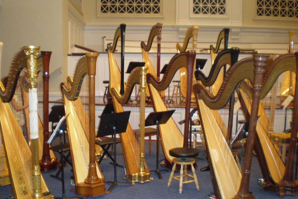 Full size harps have 7 pedals, one for each note in an octave.  Every pedal can set that note into flat, natural or sharp mode.  The openings shown give access inside the harp in order to change the strings.