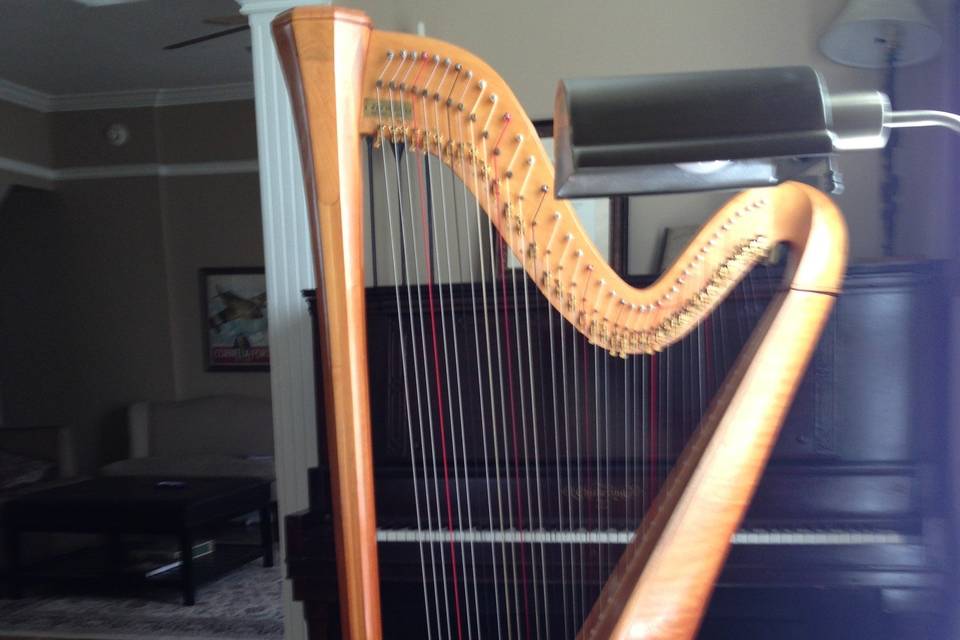 A lever harp with 40 strings and levers to sharpen the pitch one-half step.