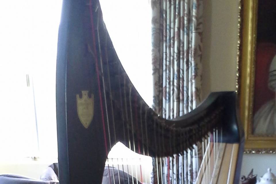 Big harp