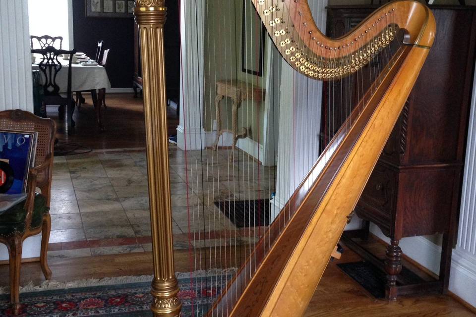 Gold & bronze harp, made in 1924.  Original gold is often patched or covered in bronze, due to the high expense of gilding (about $3000).