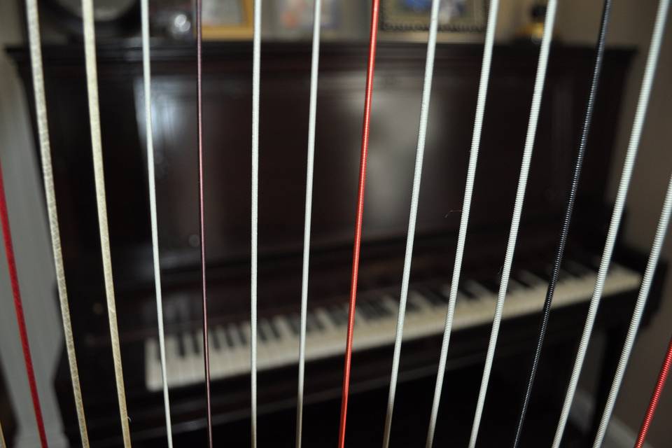 Strings