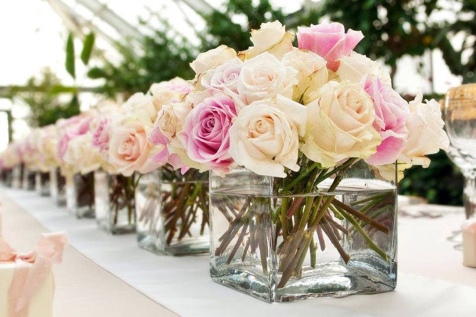 Rose formation