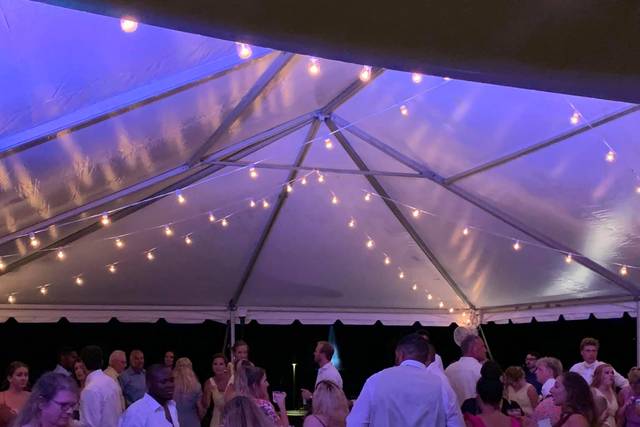 Bear Trap Dance Floor