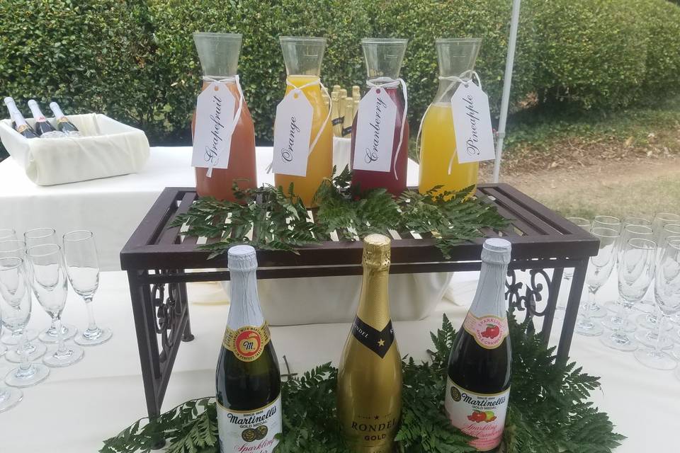 Mimosa bar