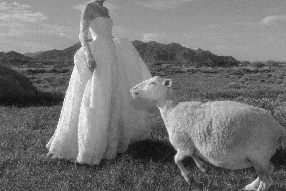 Luv Bridal - Denver