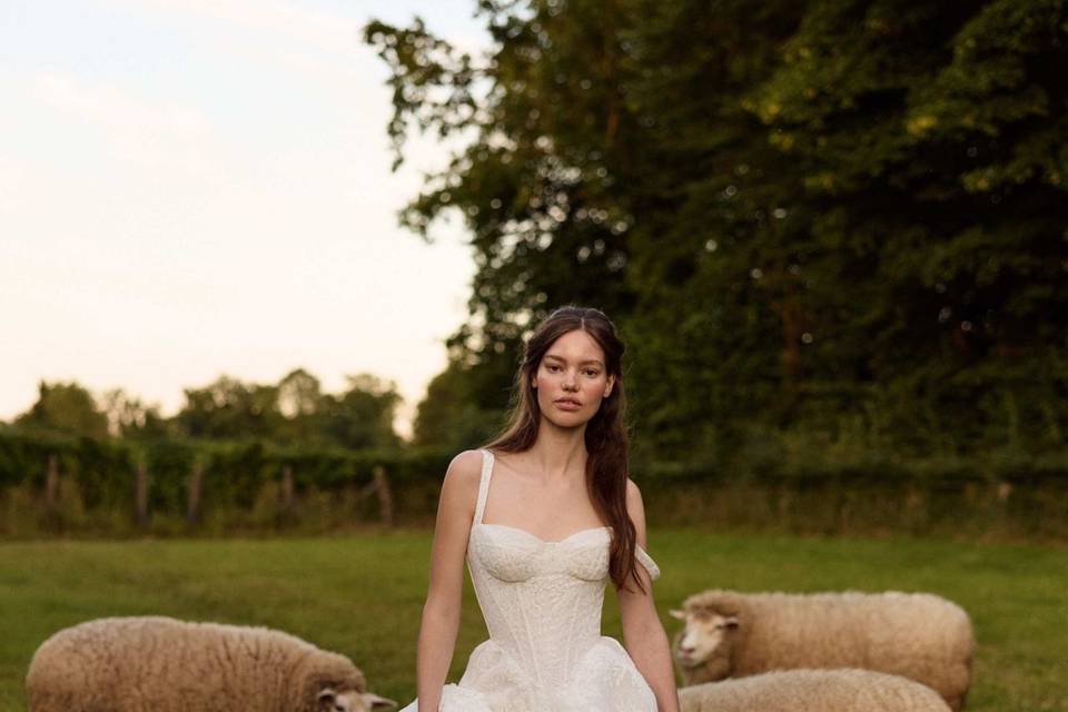 Luv Bridal - Denver